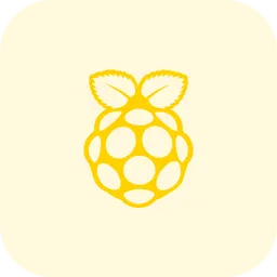 Free Raspberry Pi Logo Ícone