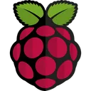 Free Raspberrypi Logotipo De Tecnologia Logotipo De Midia Social Ícone