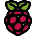 Free Raspberry Pi  Ícone