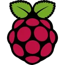 Free Framboise Pi Logo Icône