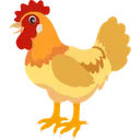 Free Frango  Ícone