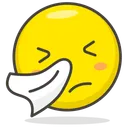 Free Froid Visage Smiley Icône