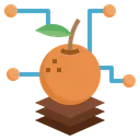Free Fruit Analysis  Icon