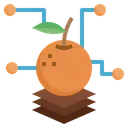 Free Fruit Analysis Production Analysis Graph Icon