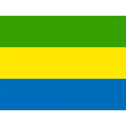 Free Gabon Flag Icon