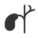 Free Gallenblase  Symbol