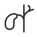 Free Gallenblase  Symbol