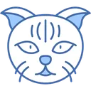 Free Gato Scottish Fold Orejas Dobladas Cara Redonda Icon