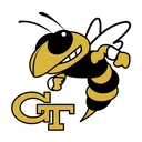 Free Georgia Tech Yellow Icon