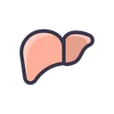 Free Gesundheit Leber Organ Icon