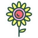 Free Girasol Flor Floral Icono