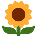 Free Girasole Fiore Pianta Icon