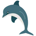 Free Golfinho  Ícone