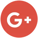 Free Google Plus Google Network Icon
