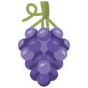 Free Grape Berries Fruit Icon
