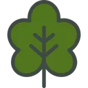 Free Grape Vine Vine Leaf Icon