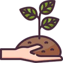 Free Growth Plant  Icon