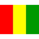 Free Guinea Flag Country Icon