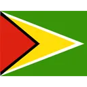 Free Guyana Flag Country Icon