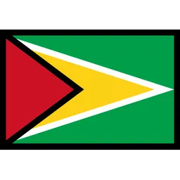 Free Guyana Flag Flag Icon