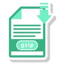 Free Gzip File Format Icon