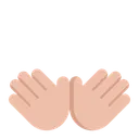 Free Hand Gesture Hand Gesture Icon