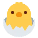Free Hatching Chick Baby Icon
