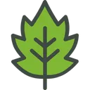 Free Hawthron Leaf Nature Icon