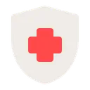 Free Health Insurance  Icon