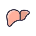Free Health Liver Organ Icon