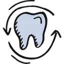 Free Healthy Teeth Human Tooth Molar Icon