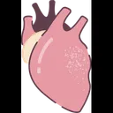 Free Heart Organ Human Organs Icon