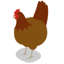 Free Hen Icon
