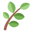 Free Herb Leaf Plant Icon