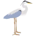 Free Heron Bird Blue Heron Icon