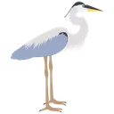 Free Heron  Icon