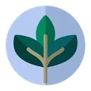 Free Hoja Naturaleza Planta Icono