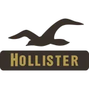 Free Hollister Co Company Icon