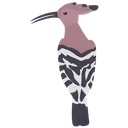 Free Hoopoe  Icon