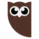 Free Hootsuite Social Network Social Media Icon