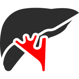 Free Human Liver  Icon