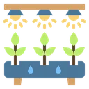 Free Hydroponic Plant Agriculture Icon