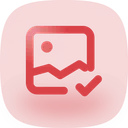 Free Image Check Ou Lc Icon