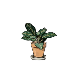 Free Indoor Plant  Icon