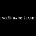 Free Ing Bank Slaski Icon