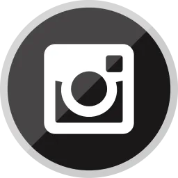 flat instagram icon vector