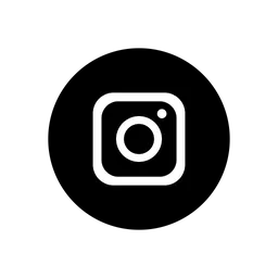 Free Instagram logo  Icon