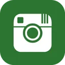 Free Instagram  Icon