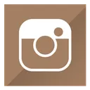 Free Instagram  Icon
