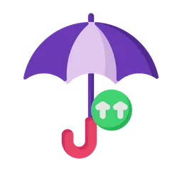 Free Insurance  Icon